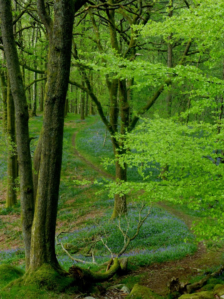 'poorly defined paths' 